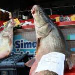 Sezonun son dev turna balığı Elazığ'da yakalandı! Tam 103 kilogram  