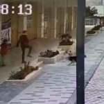 Avcılar'da servis bekleyen &ccedil;ocuğa sokak k&ouml;pekleri saldırdı