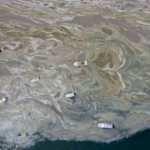 Meclis'ten müsilaja karşı 157 çözüm önerisi