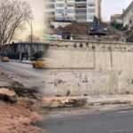 İBB hukuksuzca ağa&ccedil;ları kesmişti! Ağa&ccedil;lar tedavi edilebilirmiş