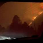 ABD’deki orman yangınında 2 kişi hayatını kaybetti