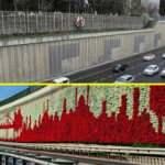 Gerçekti hayal oldu! CHP'li İBB dikey bahçeleri söktü geriye "gri duvarlar" kaldı