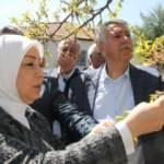 Malatya&rsquo;da zirai don nedeniyle hasar tespit &ccedil;alışmaları başladı 