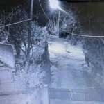 Zonguldak&rsquo;ta y&uuml;rekleri ağıza getiren koşturmaca! &Ccedil;ocuklar ka&ccedil;tı, k&ouml;pekler kovaladı     