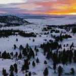 Aracı ormanda kara saplandı, 6 g&uuml;n yoğurt yiyerek hayatta kaldı