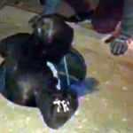 Define arayan ş&uuml;pheliler, 14 metrelik &ccedil;ukurda yakalandı