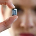 D&uuml;nyanın en b&uuml;y&uuml;k mavi elması rekor fiyata satıldı