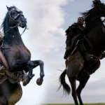 Taha Baran Özbek, Kuruluş Osman'la el sıkıştı! Bizim Hikaye'yle ününe ün katan isimle dev anlaşma