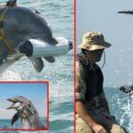 Rusya savaşta yunusları devreye soktu