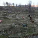 Trablus&rsquo;un g&uuml;neyinde son 11 ayda 130 kişi mayınlardan dolayı &ouml;ld&uuml;