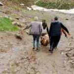 5 ay &ouml;nce Hakkari&rsquo;de &ccedil;ığ altında kalan 3 İranlının cansız bedeni bulundu