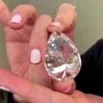 D&uuml;nyanın en b&uuml;y&uuml;k elması a&ccedil;ık artırmaya &ccedil;ıkarılacak