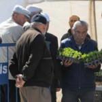 Kırşehir'de "40 Köy 40 Tohum Projesi"nde 150 bin sebze fidesi daha dağıtıldı