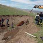 Van&rsquo;da inek kurtarma operasyonu! 