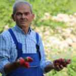 Zonguldak'ta emekli maden iş&ccedil;isi hayatını tarıma adadı