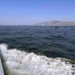 Dat&ccedil;a&rsquo;da 65 d&uuml;zensiz g&ouml;&ccedil;men kurtarıldı