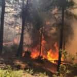 Orman Genel M&uuml;d&uuml;rl&uuml;ğ&uuml;'nden uyarı: Eğitim almayanlar girmesin