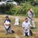 Kaymakam çizmeleri giydi, tarlada çeltik ekti