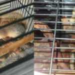 Konya'da kafese kapatılan sincaplar doğal ortamlarına kavuştu