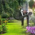 Rüyada bahçede gezmek neye işaret eder? Rüyada bahçe sulamak ne anlama gelir?