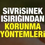 Sivrisinekten nasıl korunulur? Doğal y&ouml;ntemlerle sivrisinekten korunma yolları