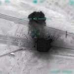 Son dakika: Terör örgütü PKK'ya ağır darbe: 18 terörist daha etkisiz hale getirildi!