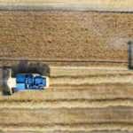 Ukrayna-Rusya savaşıyla önemi artan buğdayın hasadı başladı