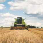 Bitkisel üretim tahminleri: Tahıl üretimi 2022’de toparlanacak!