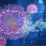 DS&Ouml;'den maymun &ccedil;i&ccedil;eği a&ccedil;ıklaması! Vaka sayısı ka&ccedil; oldu?