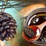 Kozalak pekmezi faydaları nelerdir? Her sabah aç karnına kozalak pekmezi içmek neye iyi gelir?