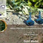 Milas zeytinyağına İtalya’dan altın madalya