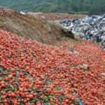 Antalya’da çöpe dökülen sebzelerle ilgili açıklama: Sofraya uygun değilmiş!