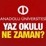 A&Ouml;F 2022 yaz okulu kayıtları ne zaman başlıyor? Yaz okulu sınavında ka&ccedil; soru sorulacak?