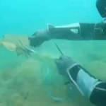 Denizi temizlemek i&ccedil;in daldılar, vatozun imdadına yetiştiler