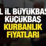 İl il kurbanlık fiyatları 2022: Büyükbaş, küçükbaş, yurtiçi ve yurtdışı vekalet kurbanlık ücretleri!