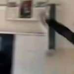 Kur'an-ı Kerim'e tekme atan öğrenci tepki çekmişti: Ekşi Sözlük'te çok çirkin ifadeler!