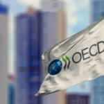 OECD Türkiye'nin büyüme tahminini yükseltti