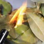 Rüyada defne yaprağı yakmak ne demektir? Rüyada taze defne yaprağı görmek...