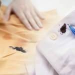 Tükenmez kalem lekesi nasıl çıkar? Kıyafetten tükenmez kalem lekesini çıkarma yöntemleri...