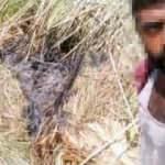 Ciğerlerimizi ateşe veren hainin g&ouml;r&uuml;nt&uuml;s&uuml; ortaya &ccedil;ıktı... Yangın &ccedil;ıkarıp, selfie yapmış!