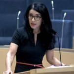 YPG/PKK destekçisi vekilden şantaj! İsveçliler: Erdoğan çok haklı