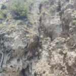 Antalya&rsquo;da nefes kesen kedi kurtarma operasyonu