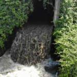 İstanbul'da atık suların Riva Deresine bırakıldığı iddia edildi