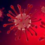 &Uuml;lke şokta! Bir haftada 18 maymun &ccedil;i&ccedil;eği vakası g&ouml;r&uuml;ld&uuml;