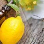 Karınca kovucu yöntemler nelerdir? Evde karınca nasıl yok edilir?