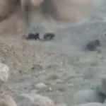 &Ouml;l&uuml;mden d&ouml;nd&uuml;ler! &Ccedil;ocuğun attığı taş mayına denk geldi