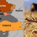 Türkiye'nin başlattığı tahıl koridorunda sona doğru