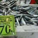 Çanakkale'de balık tezgahlarında fiyatlar arttı