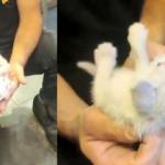 İzmit&rsquo;te kedi kurtarma operasyonu! Kolon arasında mahsur kaldı