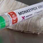 Şili'de maymun &ccedil;i&ccedil;eği vakaları nedeniyle "sağlık uyarısı" yapıldı